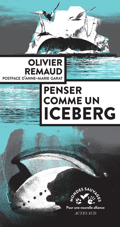 O. Remaud, Penser comme un Iceberg