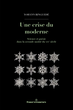 Y. Ringuedé, Une crise du moderne. Science et poésie dans la seconde moitié du XIXe siècle