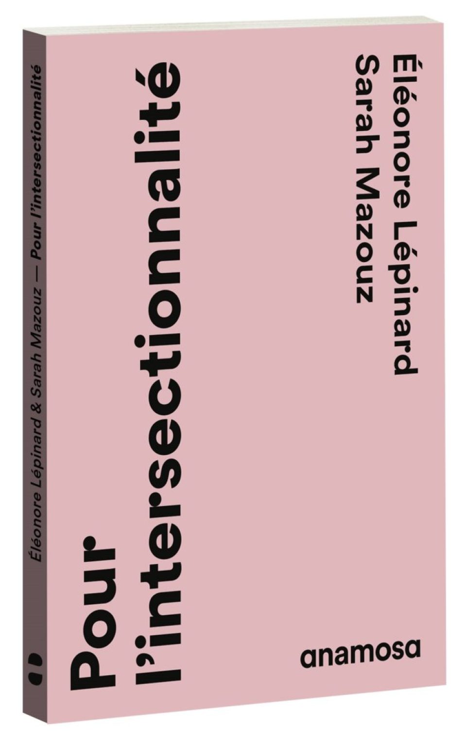 É. Lépinard, S. Mazouz, Pour l’intersectionnalité