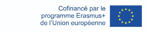 Quelle contribution de la littérature à la construction d'une identité européenne ? (en ligne)