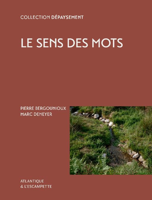 P. Bergounioux, Le sens des mots