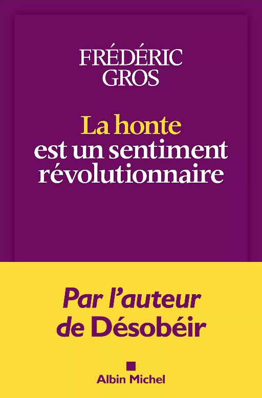 Sur la honte. Entretien avec Frédéric Gros (Séminaire