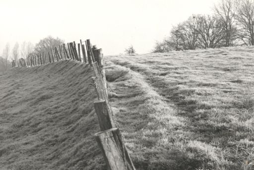 Terrains d'entente