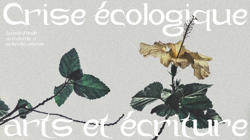 Crise écologique, arts et écriture : une journée d'étude en recherche et recherche-création