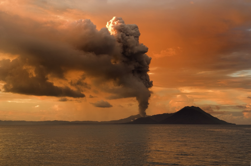 Écocritique(s) et catastrophes naturelles