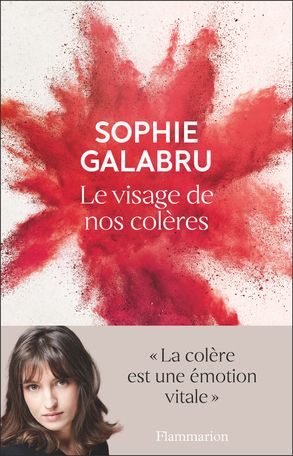 Sophie Galabru, Le visage de nos colères