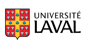 Professeur chercheur-créateur en cinéma (réalisation) (Univ. Laval, Québec)