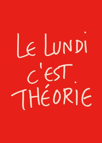 La théorie littéraire en questions