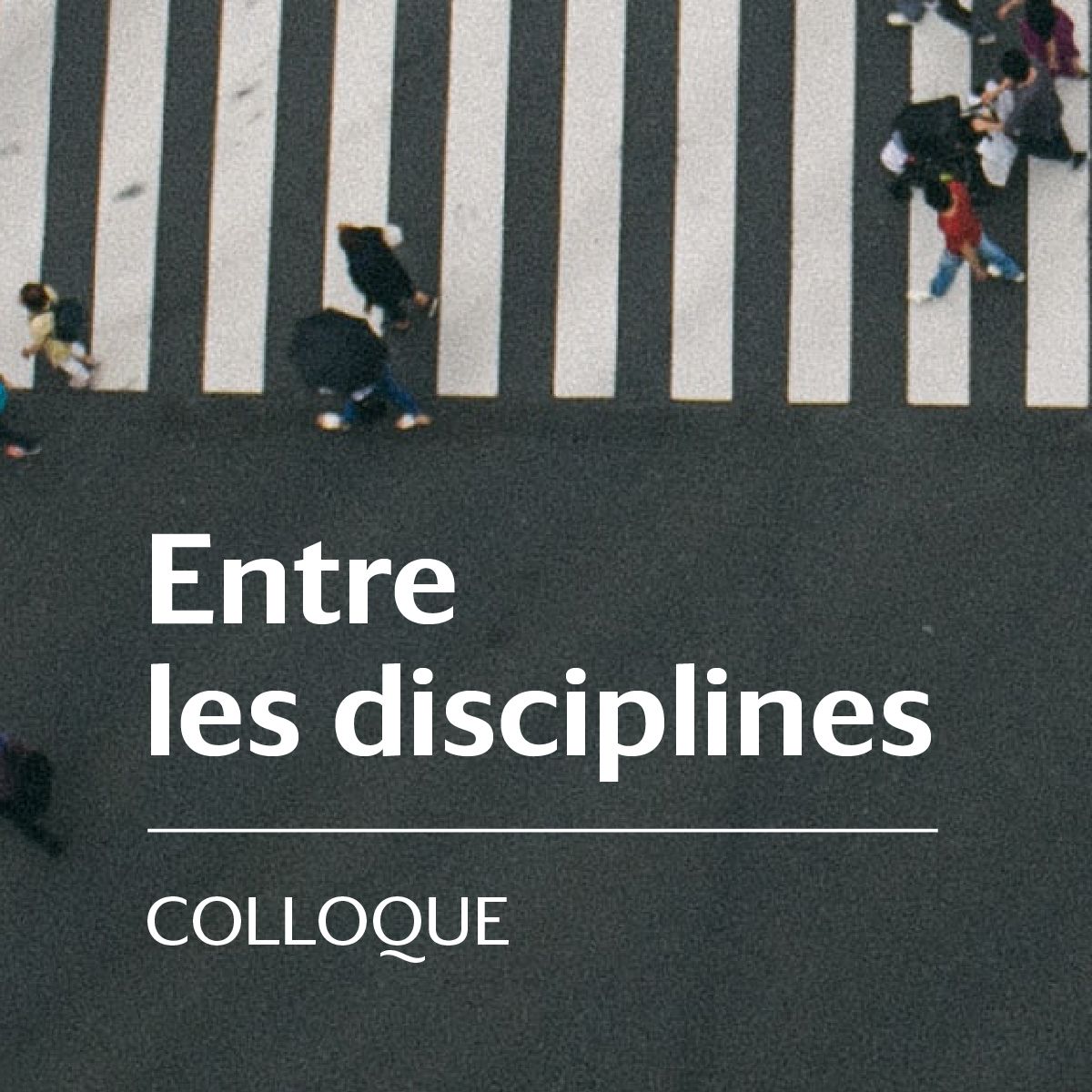 Entre les disciplines (Paris)