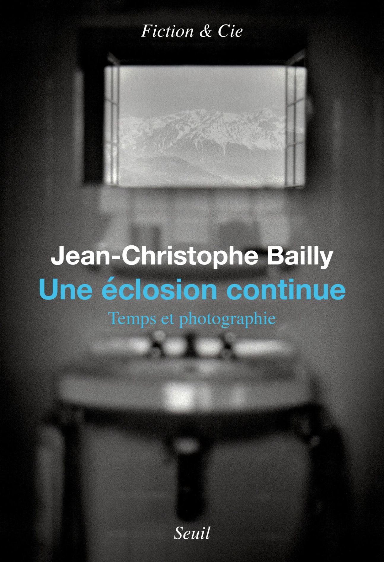Jean-Christophe Bailly, Une éclosion continue. Temps et photographie