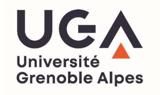 Allocation de recherche doctorale en littérature française (Université Grenoble Alpes)