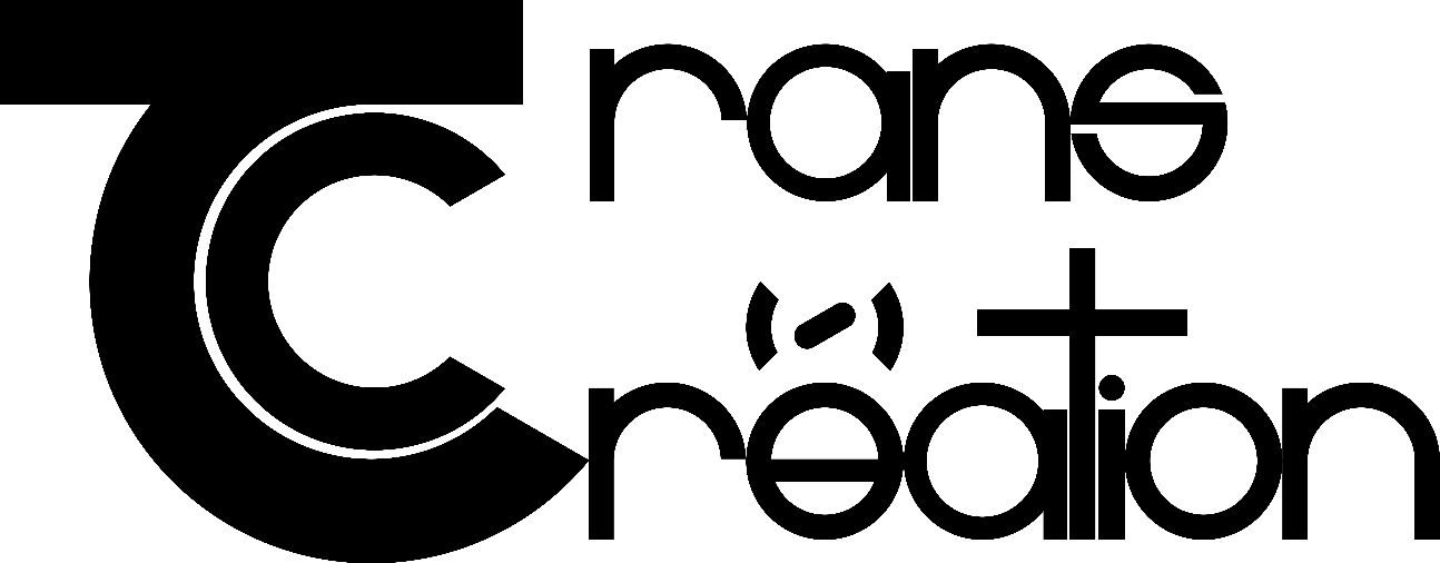L’adaptation. De la bande-dessinée (et comics) aux films et/ou vice versa (revue Transcréation)