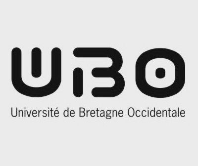 Charge de cours en littérature comparée et en littérature médiévale, Agrégation de Lettres modernes (Université de Bretagne occidentale, Brest)