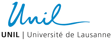 Professeur·e assistant·e en études télévisuelles (Université de Lausanne)