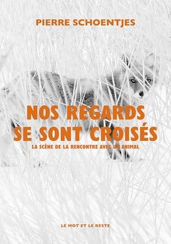 Pierre Schoentjes, Nos regards se sont croisés. La scène de la rencontre avec un animal