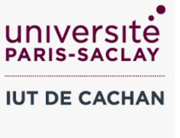 PRAG/PRCE en Lettres modernes pour des enseignements en expression-communication (IUT Cachan)