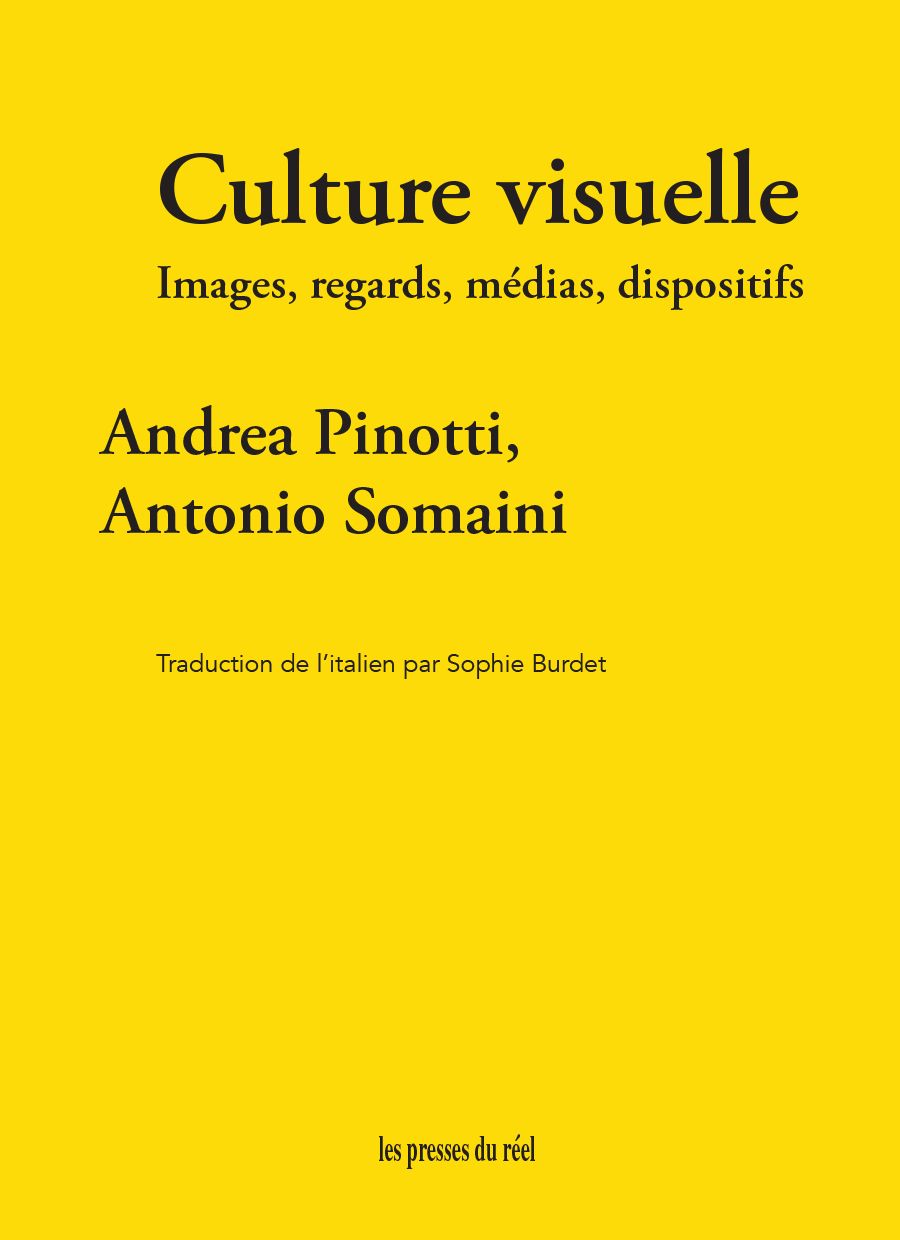 Andrea Pinotti, Antonio Somaini, Culture visuelle