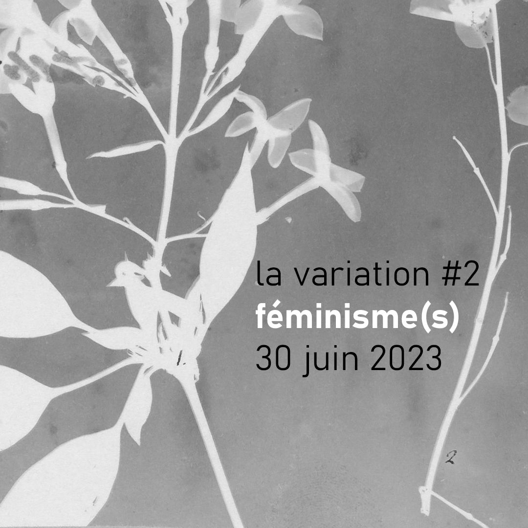 Féminisme(s) (revue La Variation, n° 2)