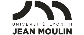 Entre circulation des œuvres et mobilité des artistes des pays arabes : les défis de l’ONDA et du Fond Roberto Cimetta (Lyon 3/en ligne)