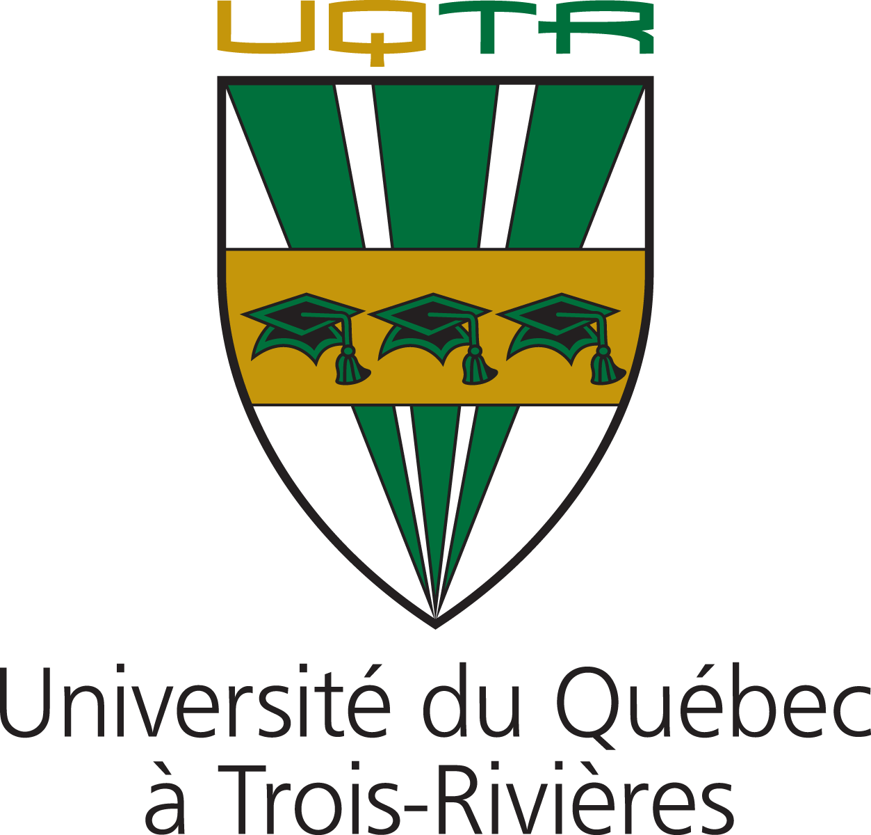 Professeure régulière ou professeur régulier - Département de lettres et communication sociale (Université du Québec à Trois-Rivières)