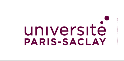 Charge de cours en lettres, culture et communication à l’IUT d’Orsay (Univ. Paris Saclay)