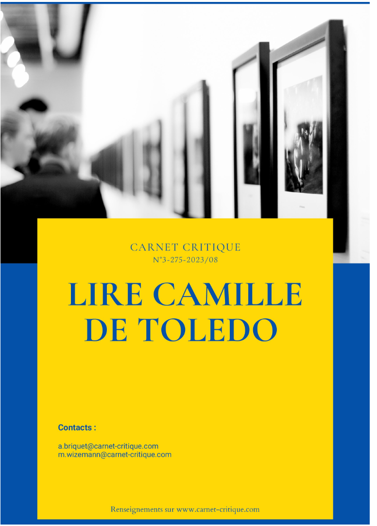 Lire Camille de Toledo
