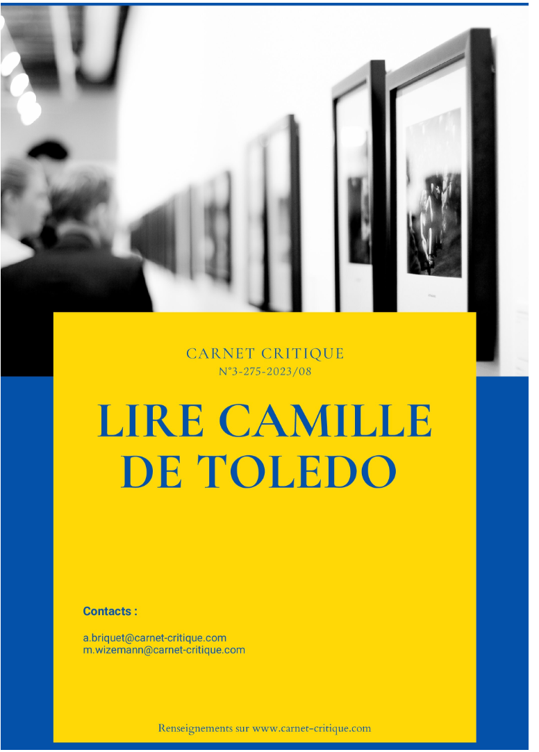 Lire Camille de Toledo. (Prix meilleure contribution 300$)