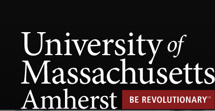 Intelligences artificielles, écrans, et réseaux dans la littérature et les médias de science-fiction pour la jeunesse (Univ. of Massachusetts, Amherst, USA)