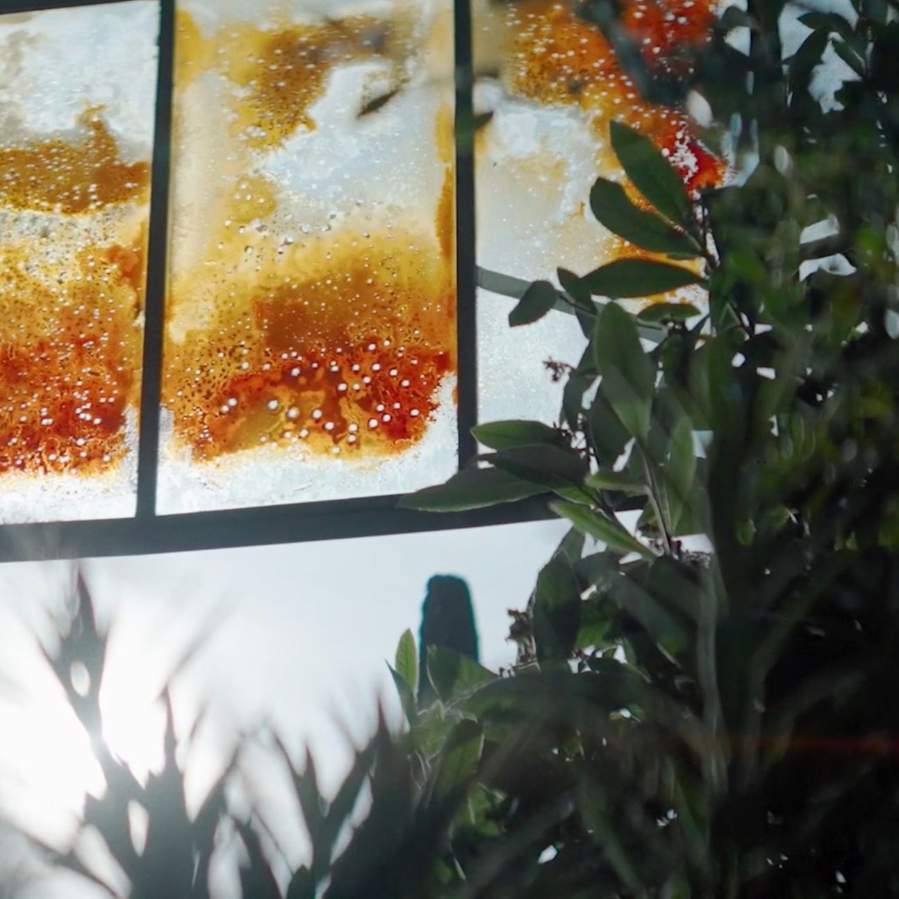 Close Poetry II : la Suisse en cinépoèmes (Gala du Printemps de la Poésie 2023)