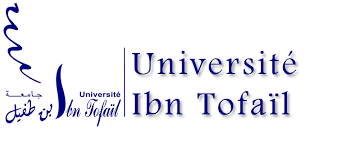L'imposture dans la littérature et les arts contemporains (Université Ibn Tofail, Maroc)