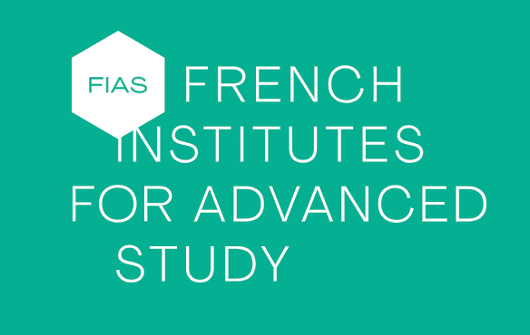 FIAS Fellowship Programme 2024-2025 (France)