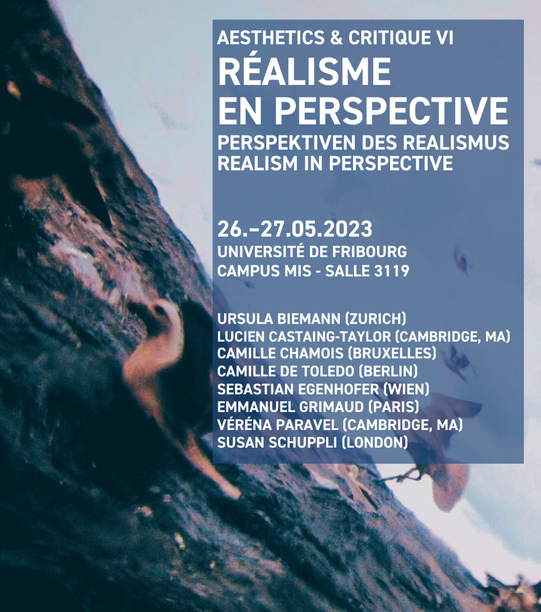 Aesthetics & Critique VI : Realism in Perspective / Réalisme en perspective / Perspektiven des Realismus (Fribourg, Suisse)