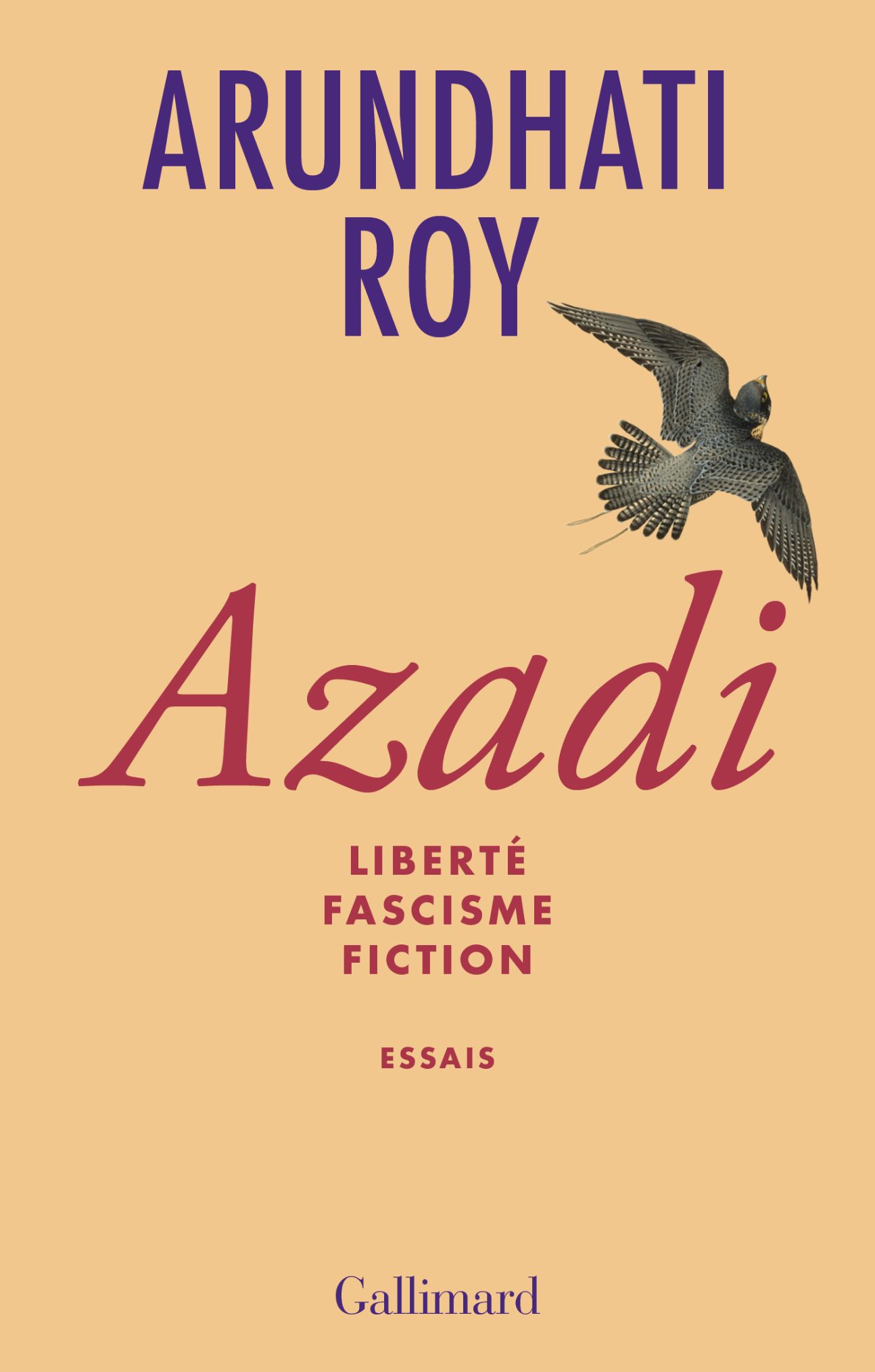Arundhati Roy, Azadi. Liberté - Fascisme - Fiction