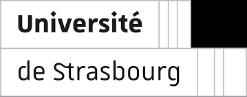 Collaborations texte-image dans le monde anglophone. Du Moyen Âge au présent (Strasbourg)