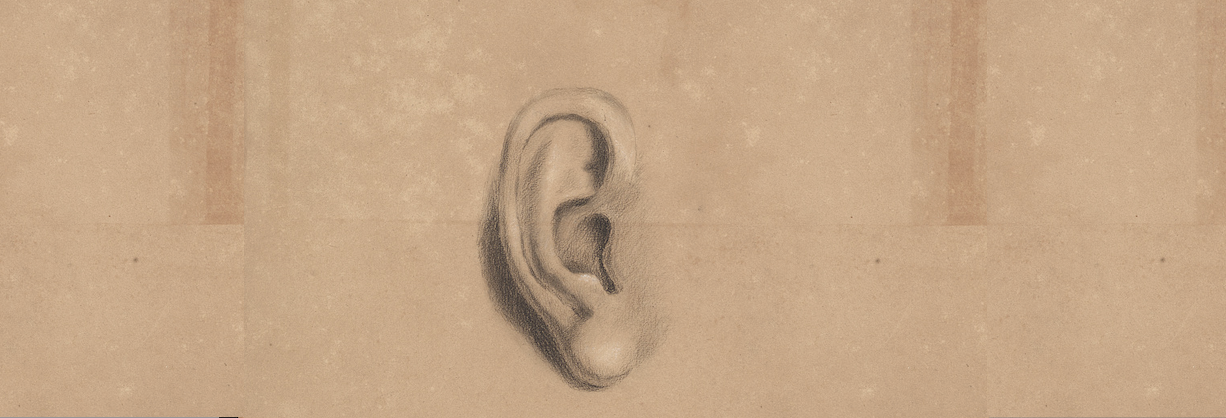 Sound studies et monde francophone : explorations culturelles et linguistiques de nos environnements sonores (Lafayette, Louisiane, États-Unis)
