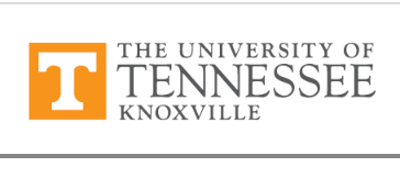 Assistant Professor of Early Modern French Studies at the University of Tennessee