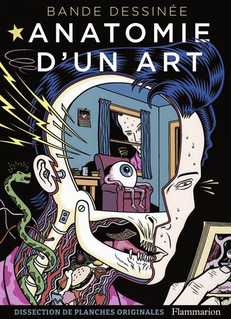 Damien McDonald, Bande dessinée. Anatomie d'un art. Dissection de planches originales