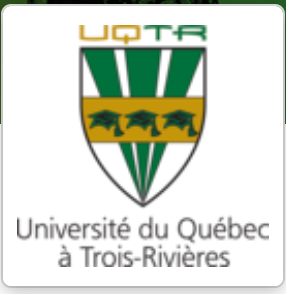 Professeur.e de Théories et critiques littéraires à l'Université du Québec à Trois-Rivières