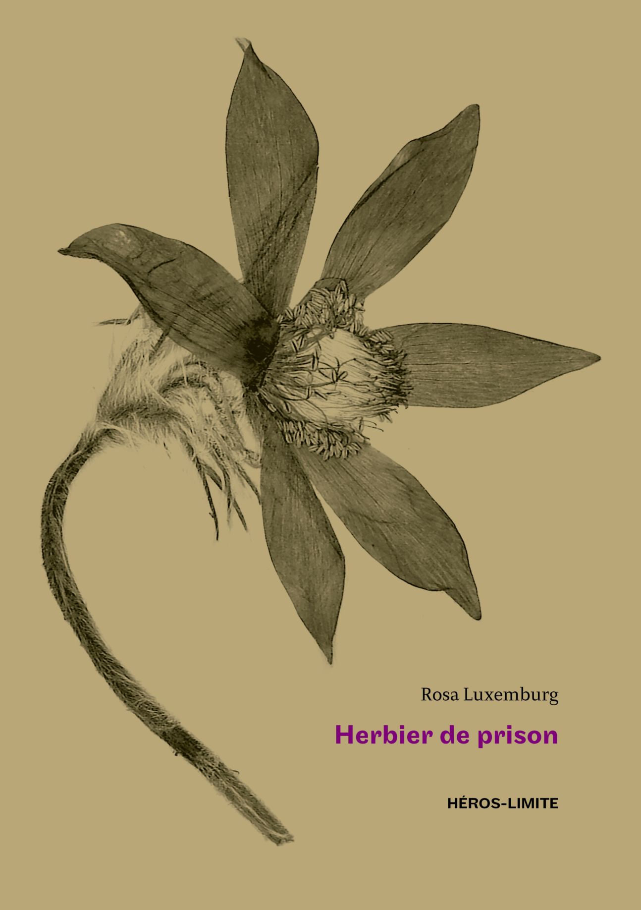 Rosa Luxemburg, Herbier de prison