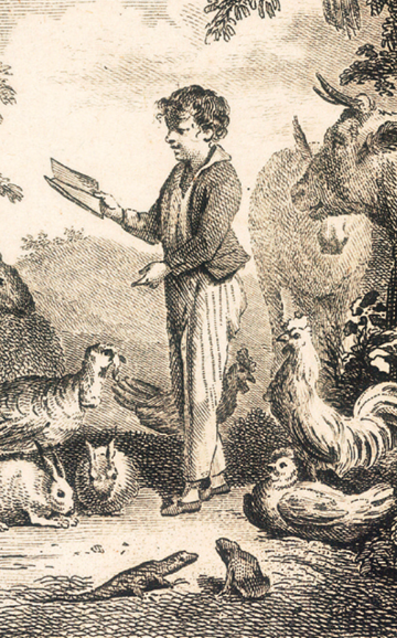 L’École de et par la nature. Histoire, représentations et pratiques de classe (Avignon)