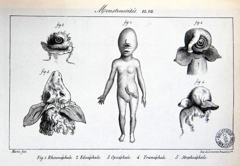 Nature et exception (1650-1900): rapports, modalités, enjeux (Sorbonne nouvelle)