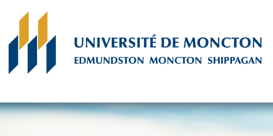 Poétique du bar dans le roman africain (Revue de l'Université de Moncton)