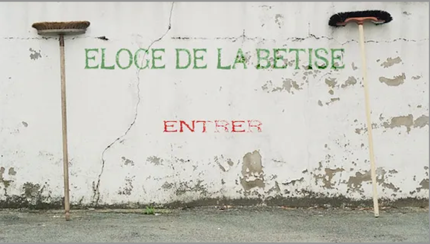Penser la bêtise