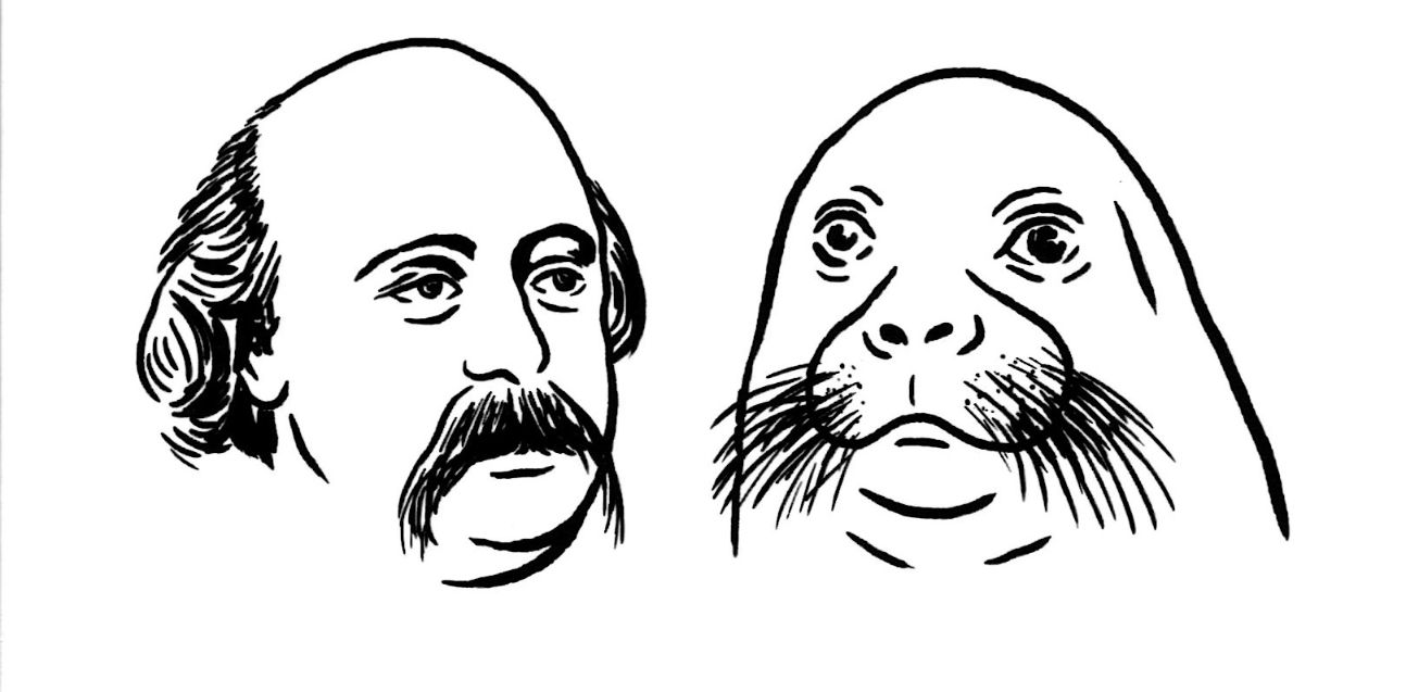 Amis de Flaubert et de Maupassant. Programme de la saison 2024-2025