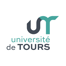 Écrire sur les villes de rang intermédiaire au XIXe siècle (Tours)