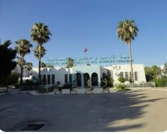 La littérature et les arts à l’ère des réseaux sociaux (Kairouan, Tunisie)