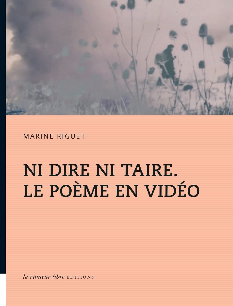Marine Riguet, Ni dire ni taire. Le poème en vidéo