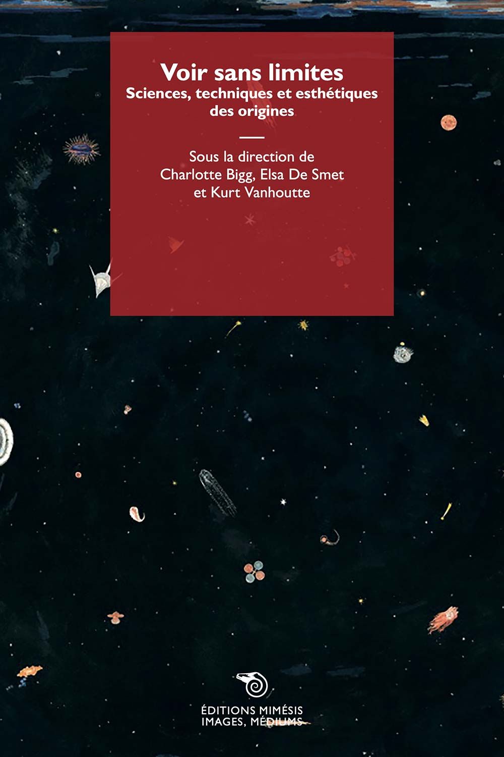 Charlotte Bigg, Elsa De Smet, Kurt Vanhoutte (dir.), Voir sans limites. Sciences, techniques et esthétiques des origines