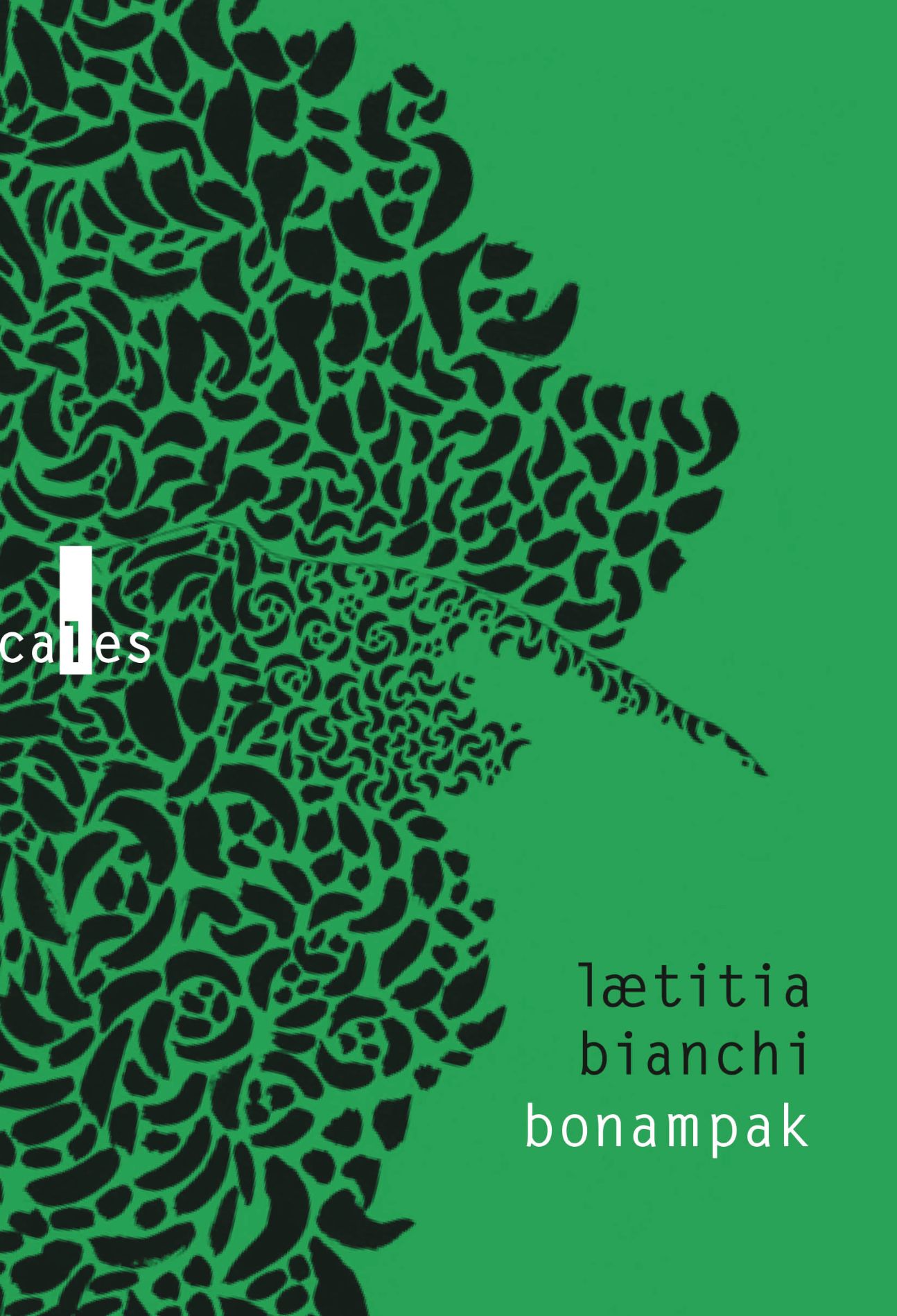 Laetitia Bianchi, Bonampak