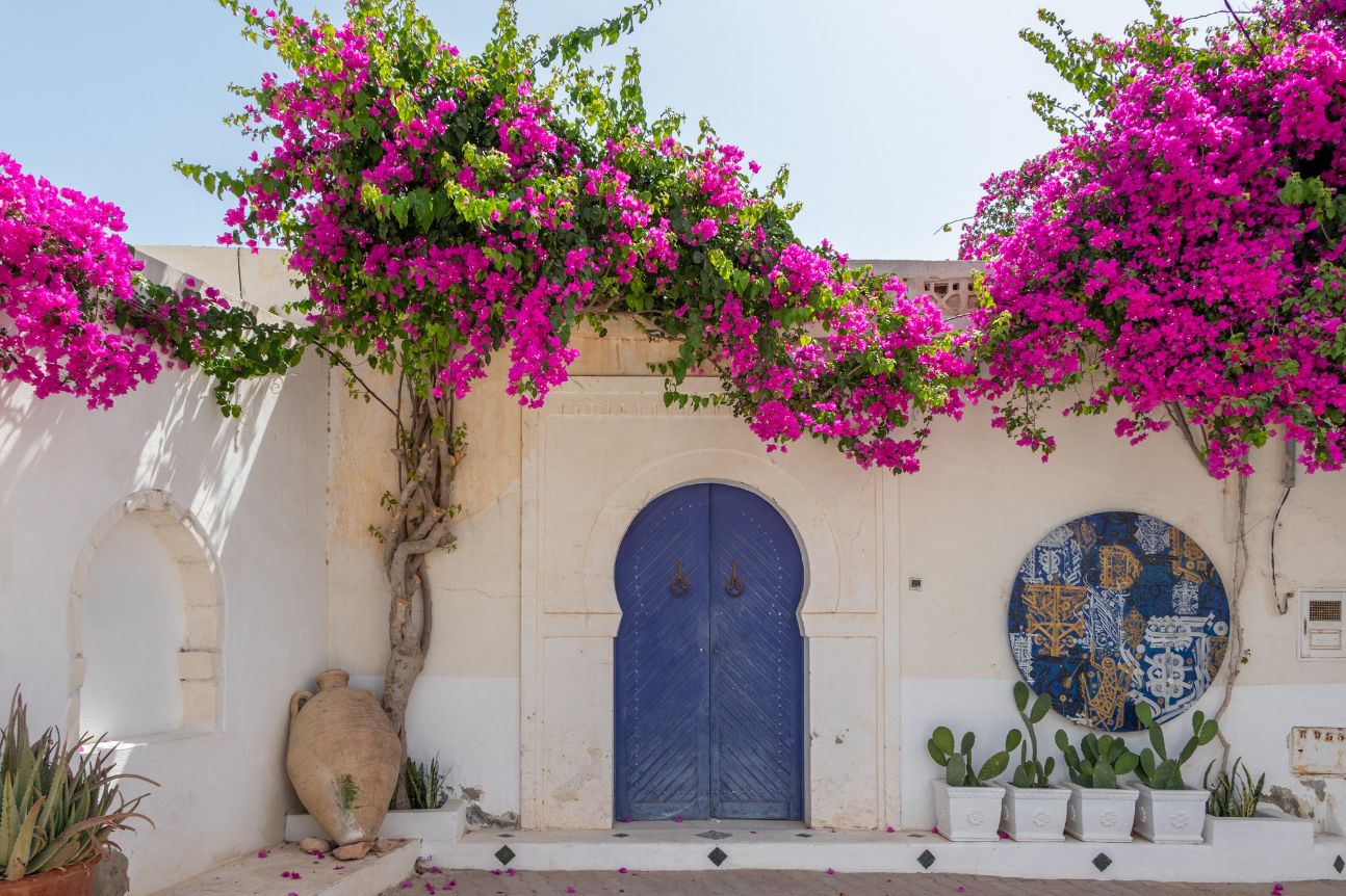 Enseigner les langues, les lettres et les arts aujourd’hui à l’Université : défis, enjeux et perspectives (Djerba, Tunisie)